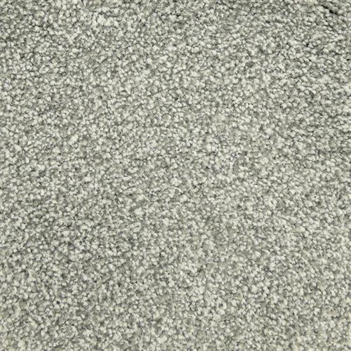 Willis Falls - Signature