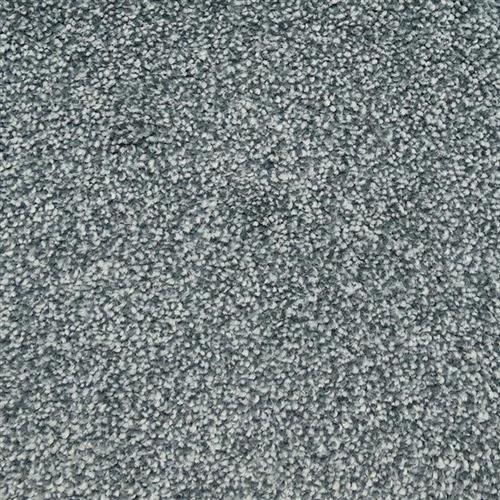 Willis Falls - Signature