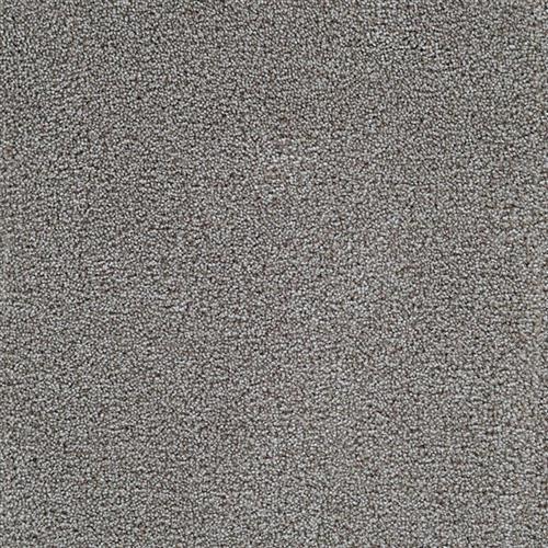 Willis Falls - Signature