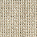Wilkins - Signature