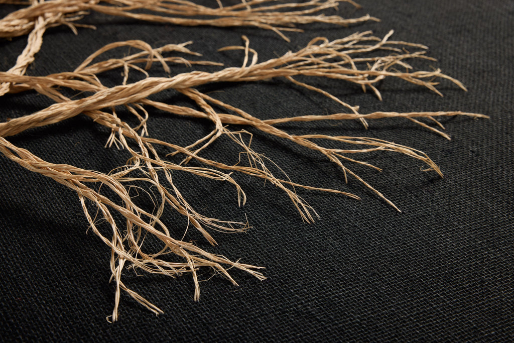 ROOTED