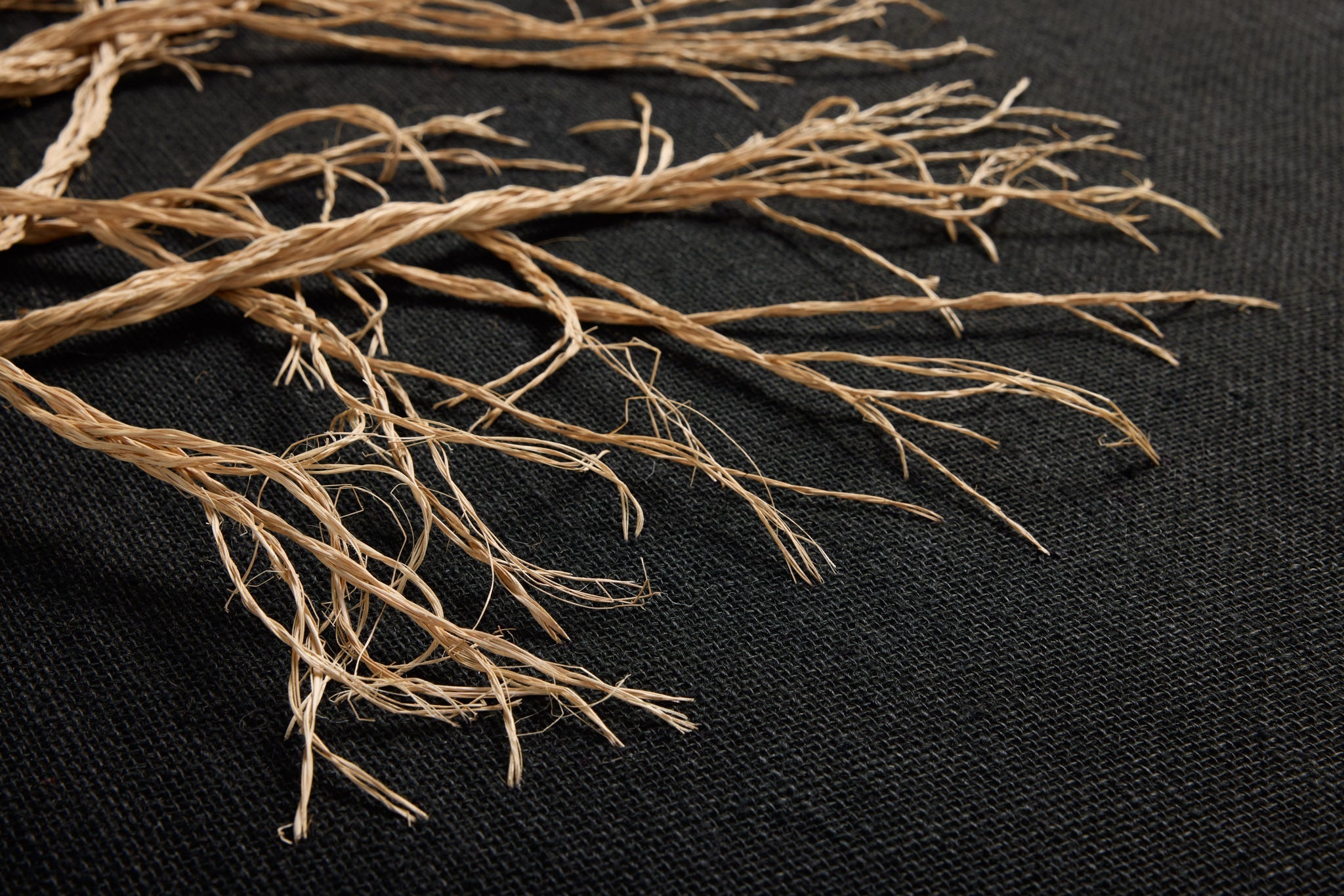ROOTED