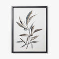 TUSCAN BRANCHES