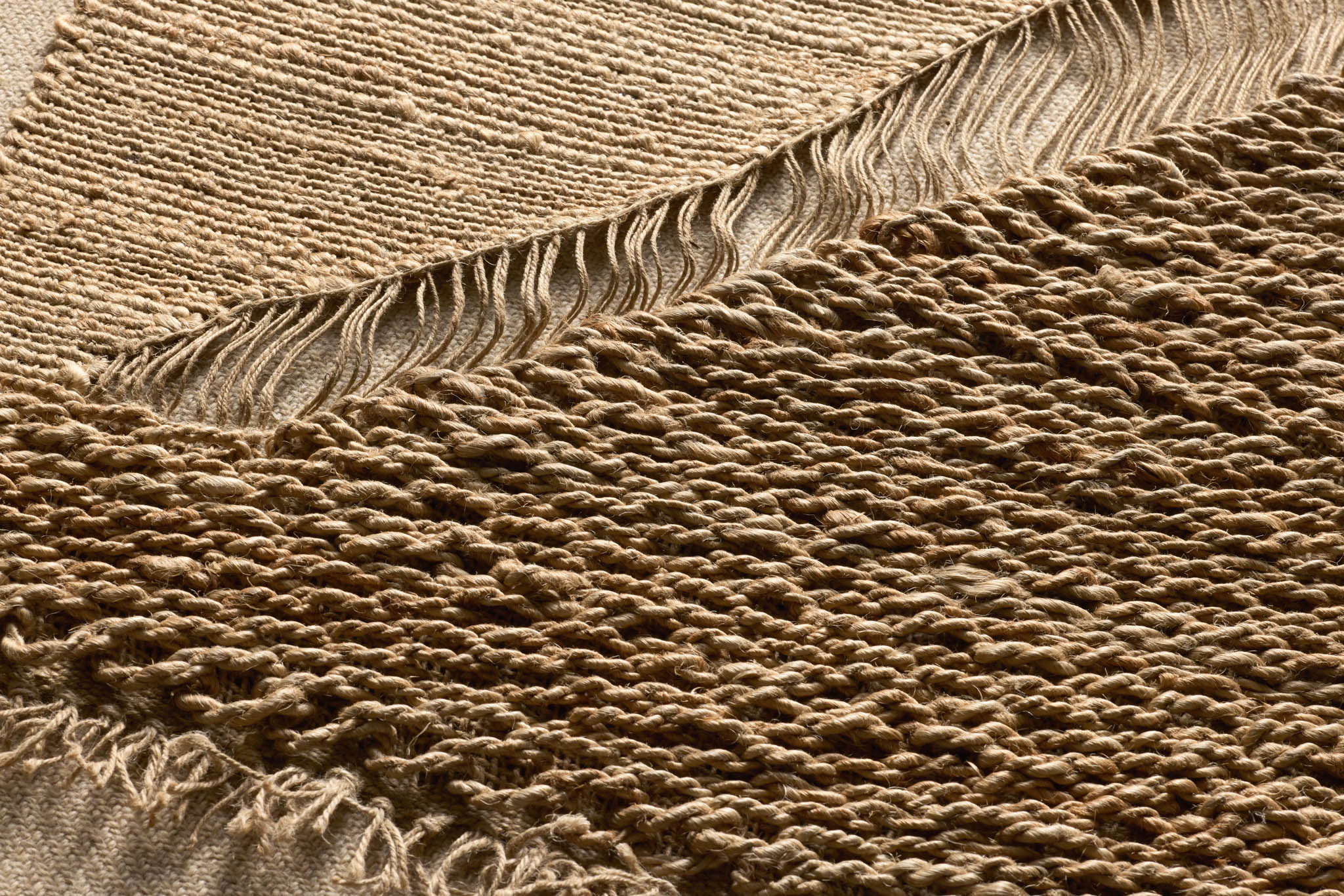 FIELD