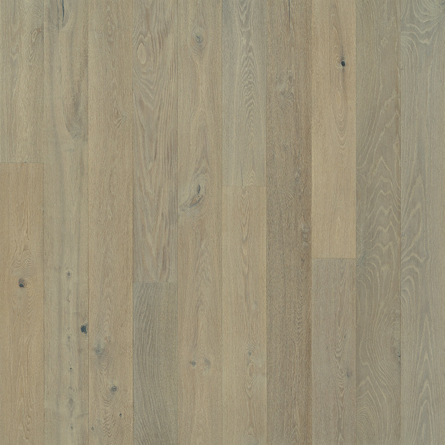 Alta Vista Doheny Oak