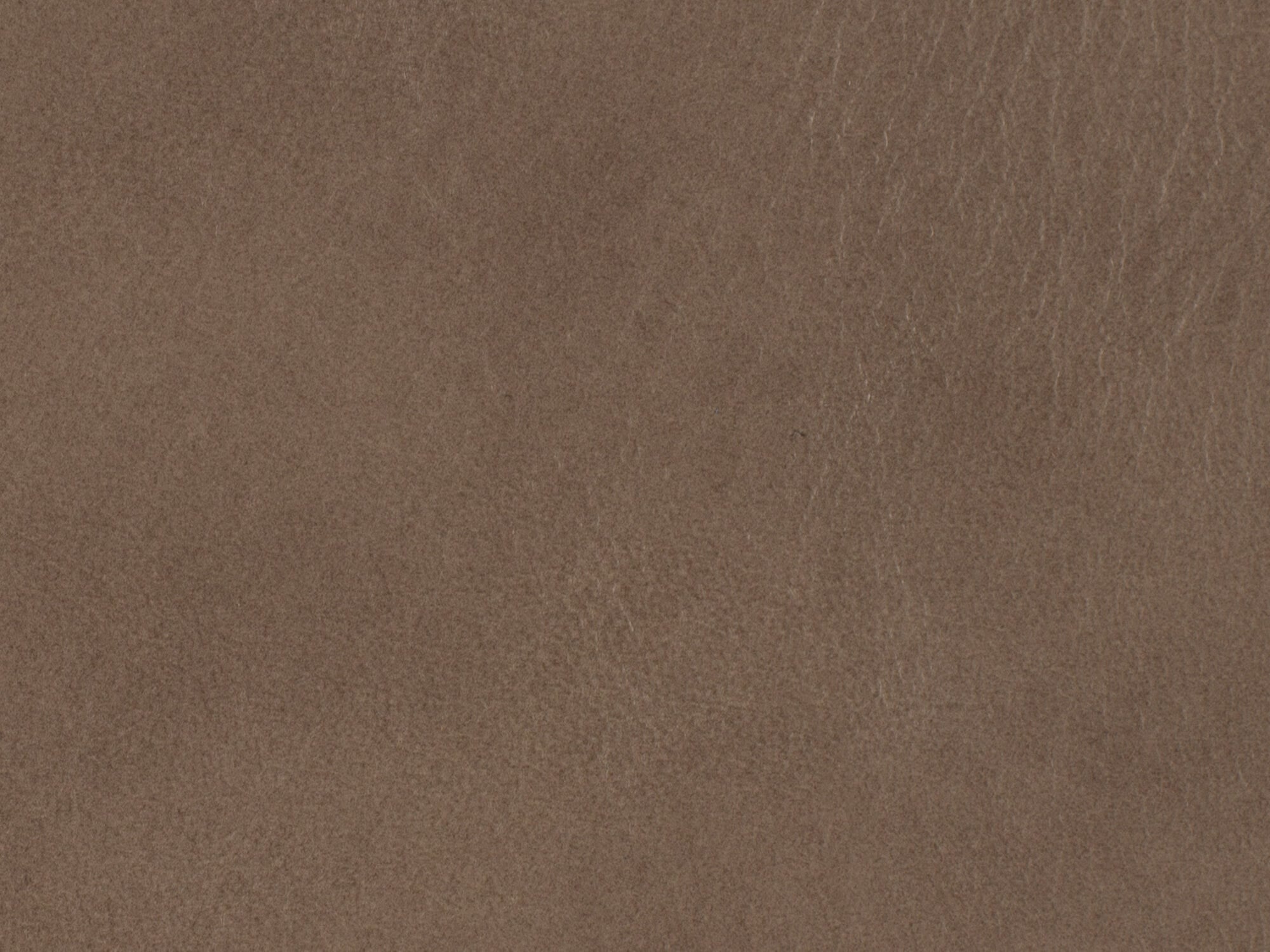 Aspen Lenado Leather Image