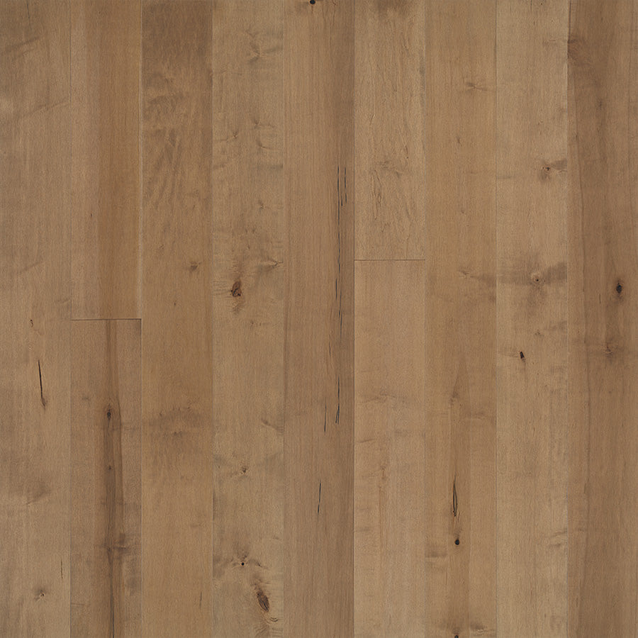 Avenue Pennsylvania Maple Swatch By Hallmark Floor