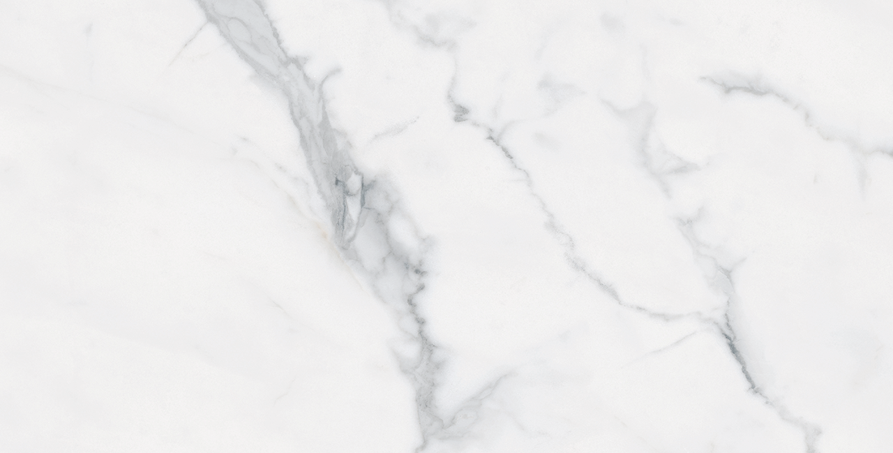 Roca Tile - Bianco Venatino Up 12 x 24 R