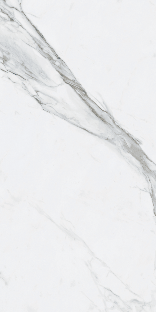 Roca Tile - Bianco Venatino Po 24 x 48 R