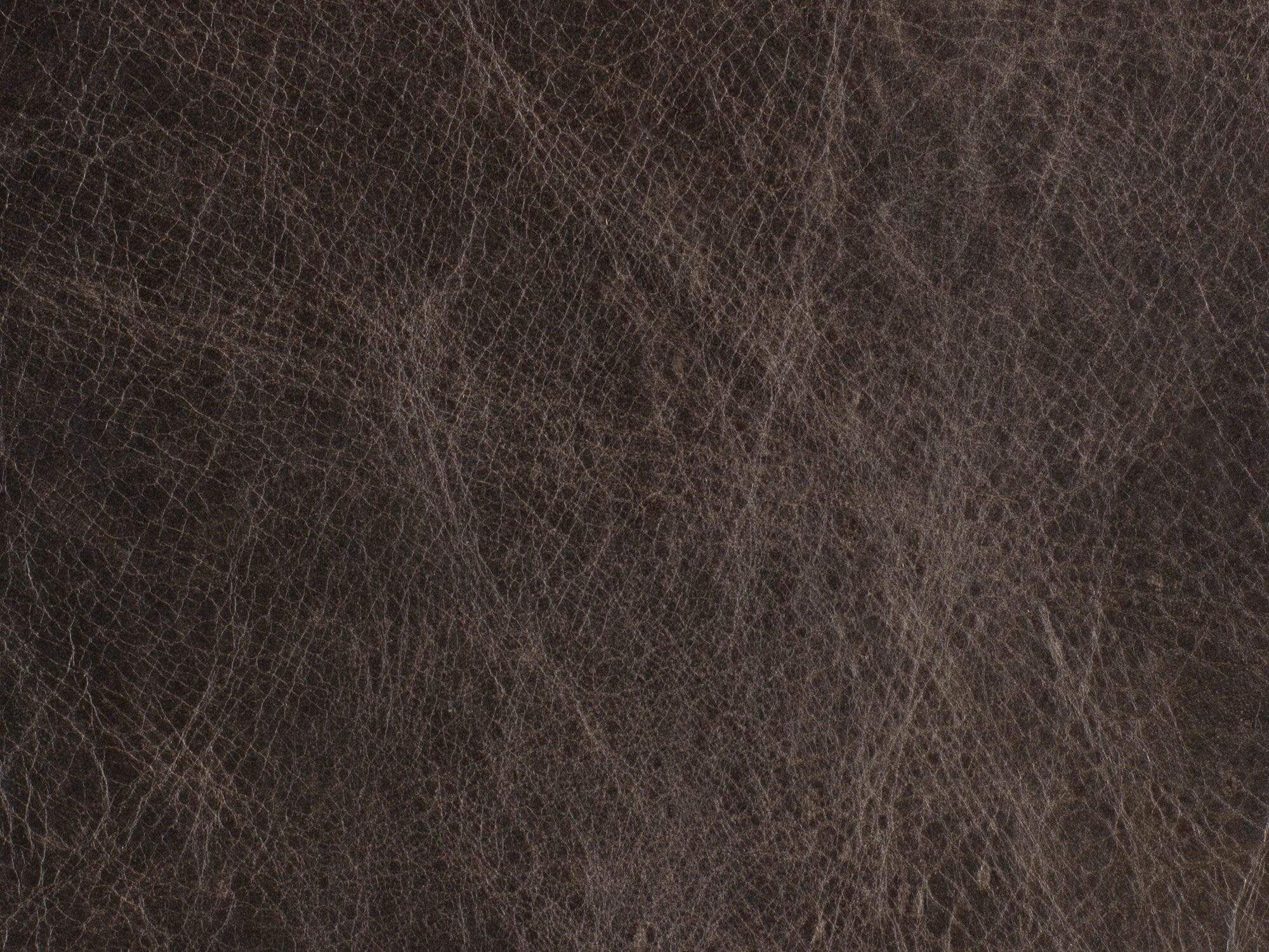 Buckaroo Ranch Leather