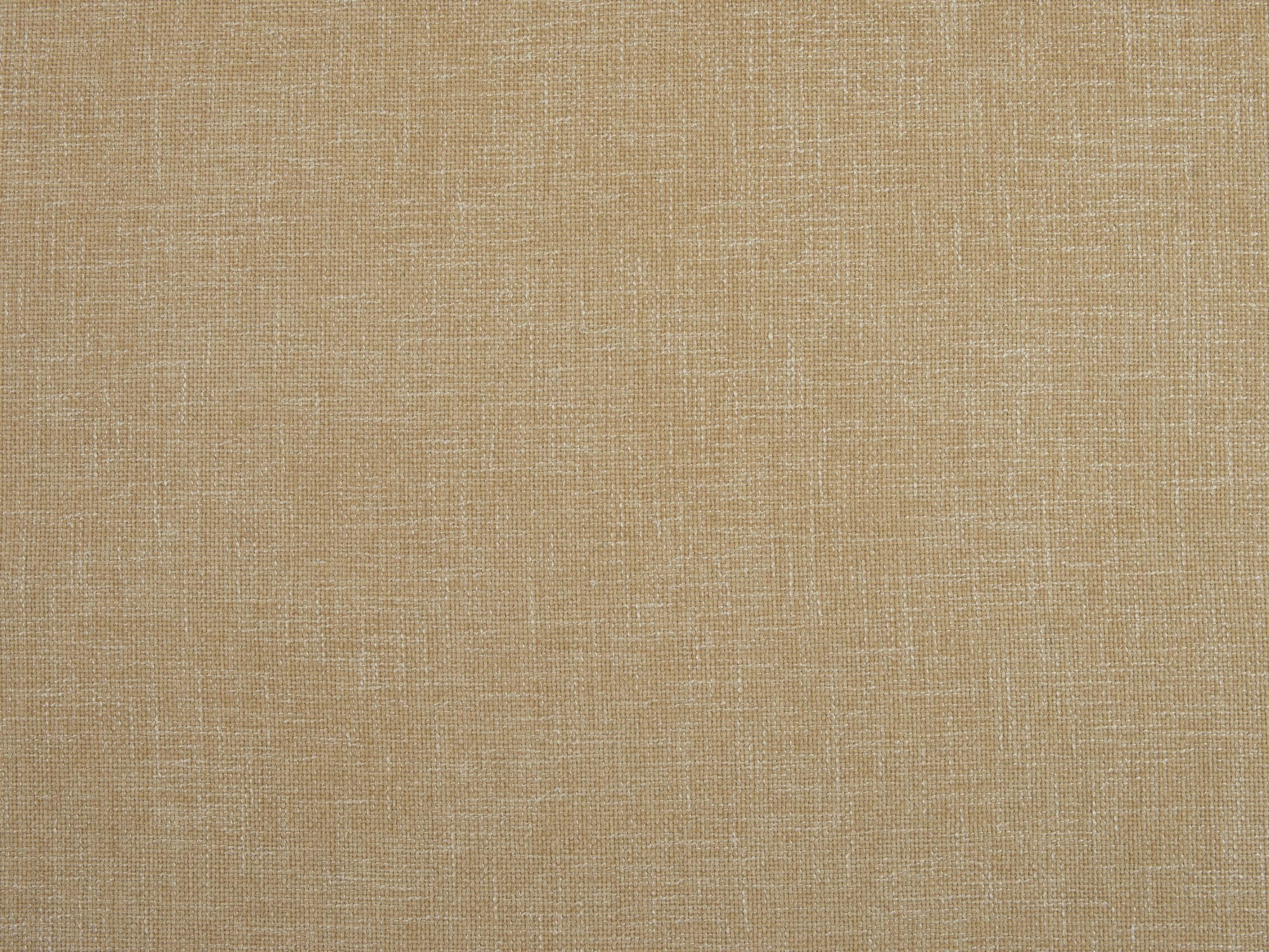 Dune Gold