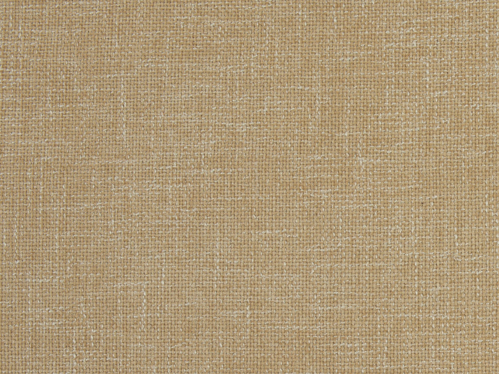 Dune Gold