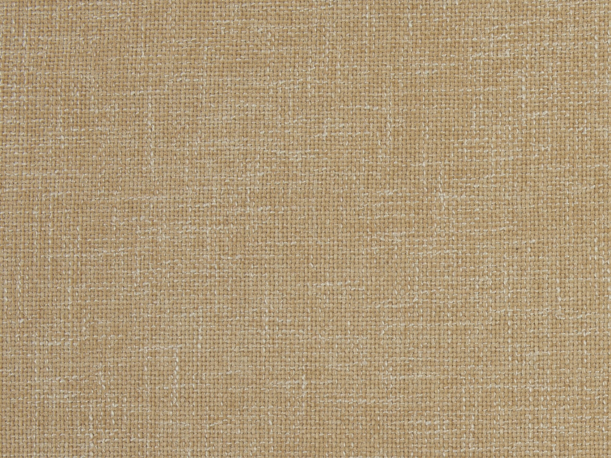 Dune Gold
