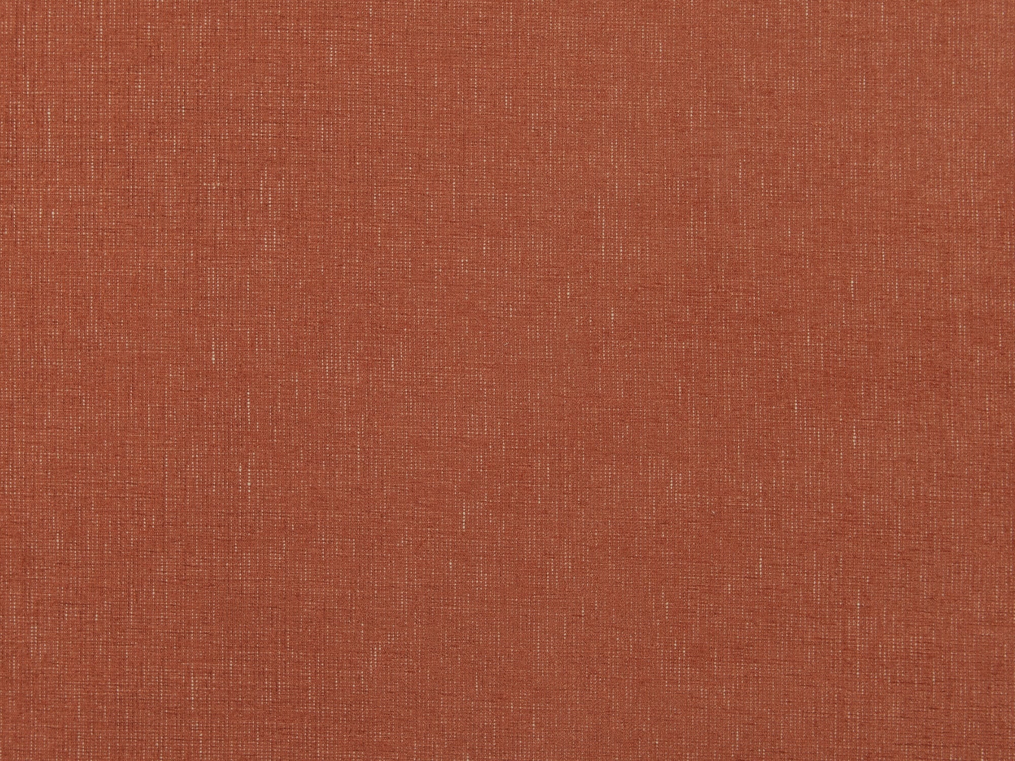 Havelock Paprika