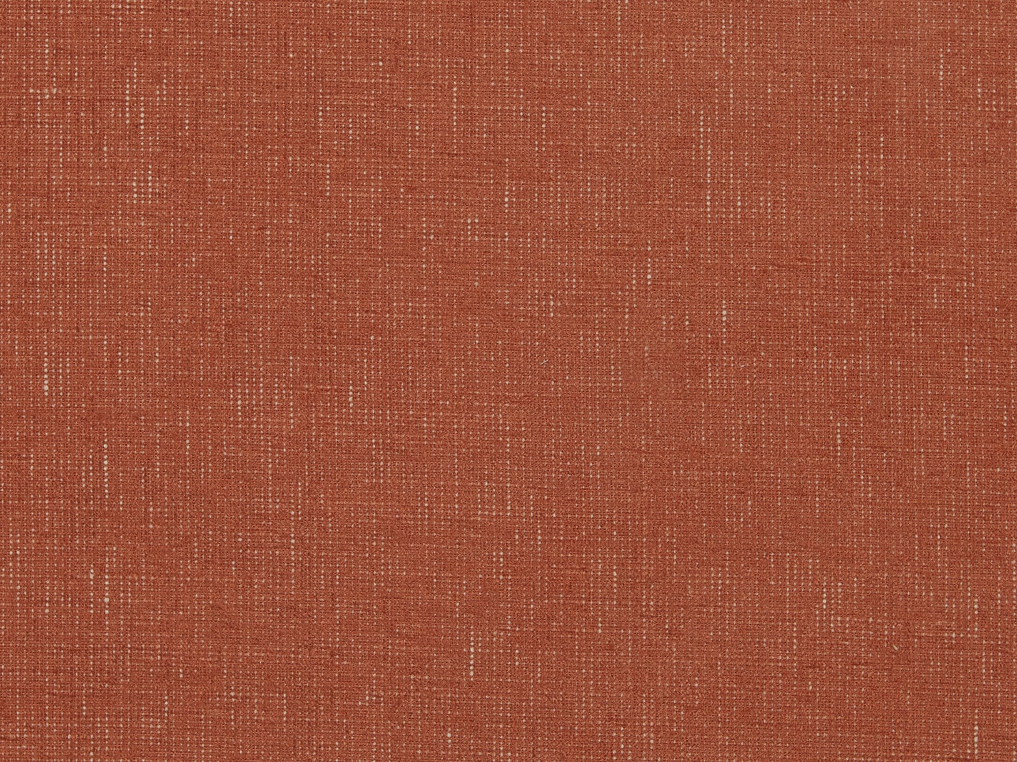 Havelock Paprika