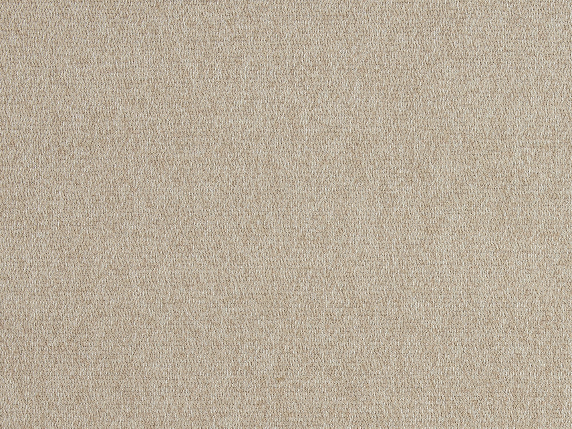 Nori Beige - Image 3