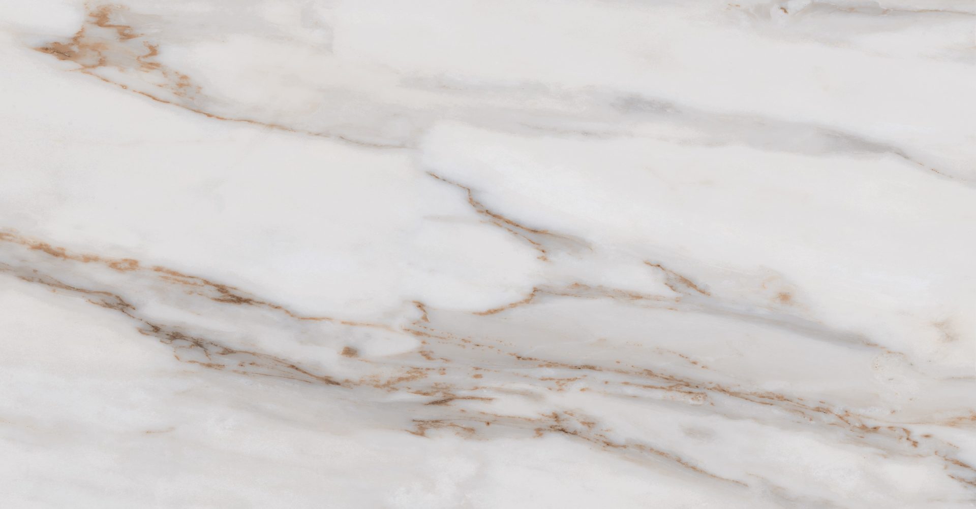 Roca Tile - Calacata Gold Up 12 Inch X 24 Inch
