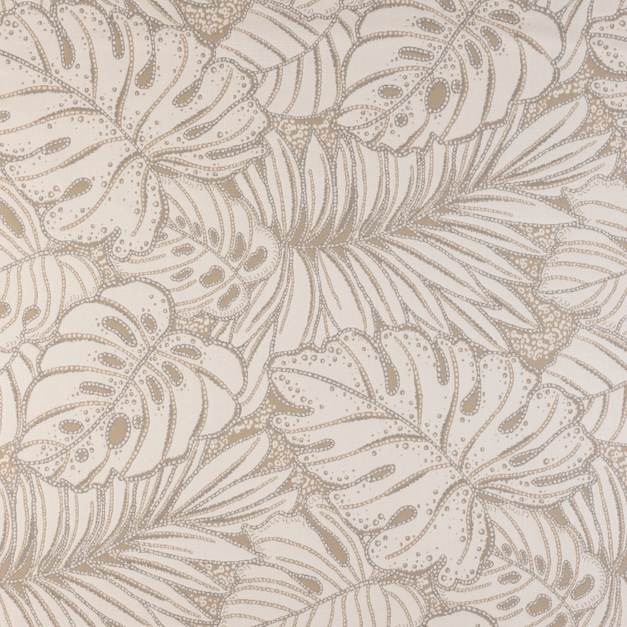Canopy Layer Dune