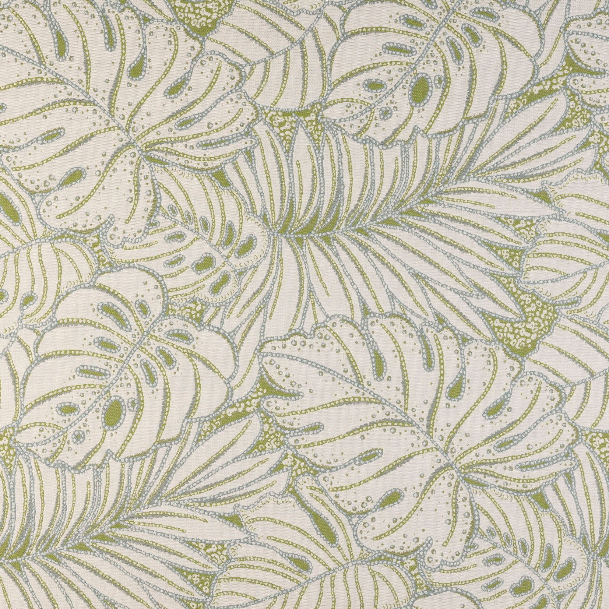 Canopy Layer Palm
