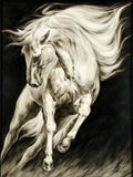 LM Zhou's Surging Equine | John richard - JRO-3438