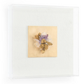 Amethyst-Celestite Shadow Box II | John Richard - GBG-1867B