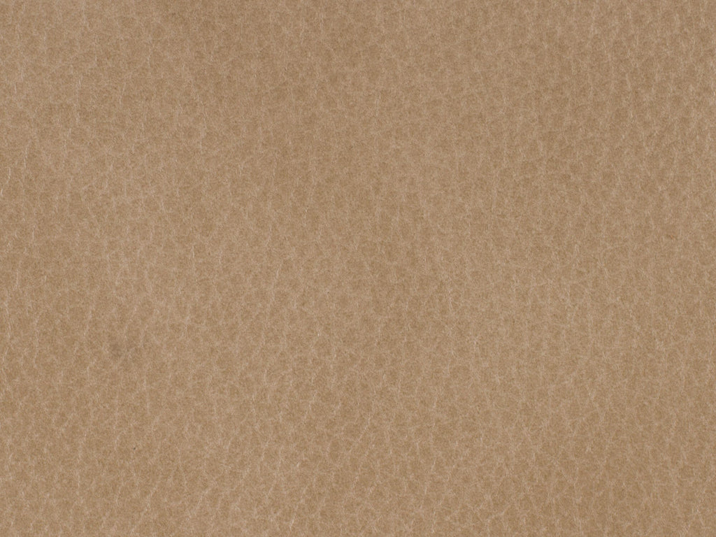Leather Image 1