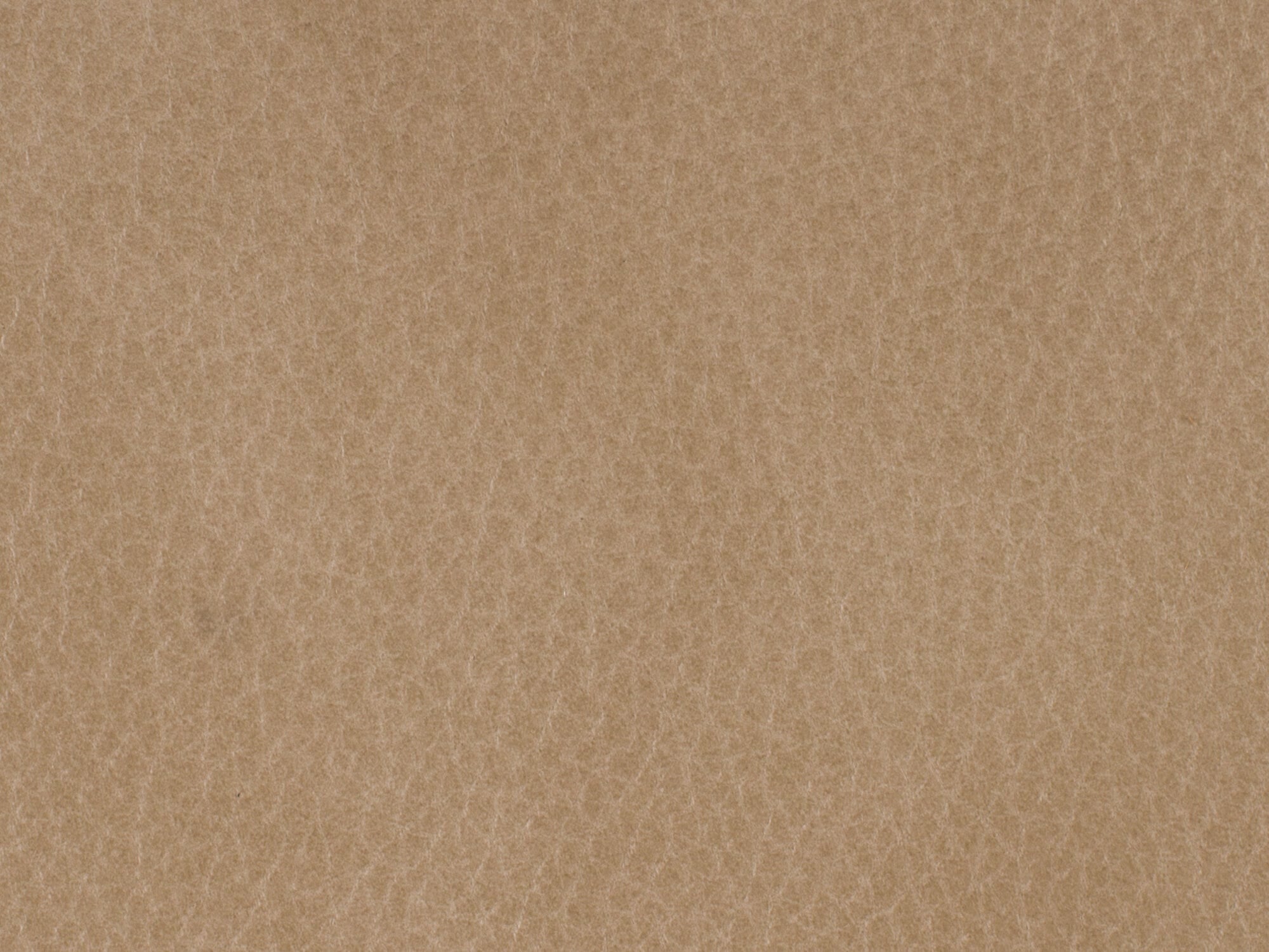 Leather Image 1
