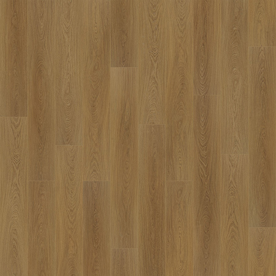 Courtier Griffith Oak