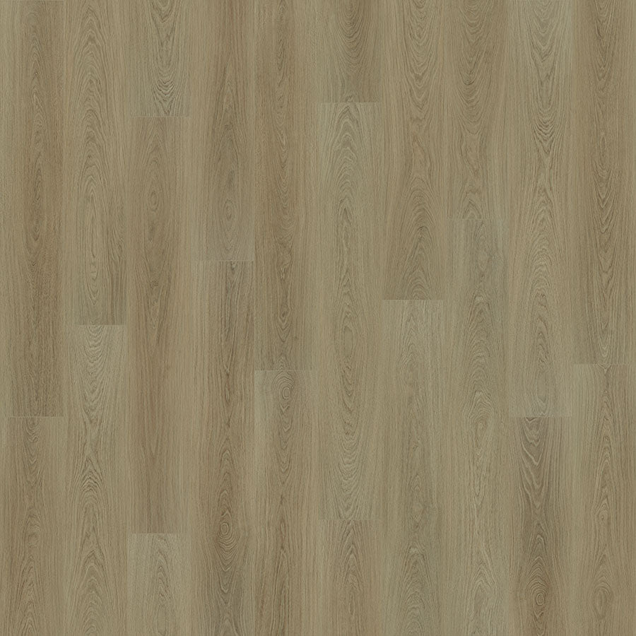 Courtier Knight Oak