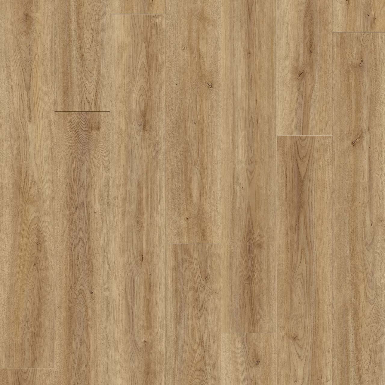Wood Tech - Birch Mountain