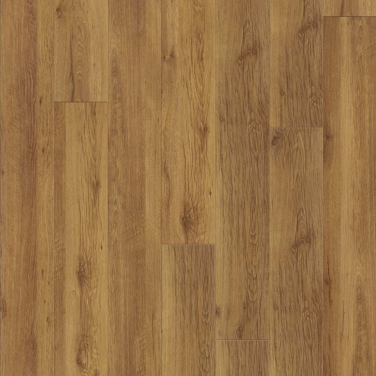 Wood Tech - Hemlock Trail