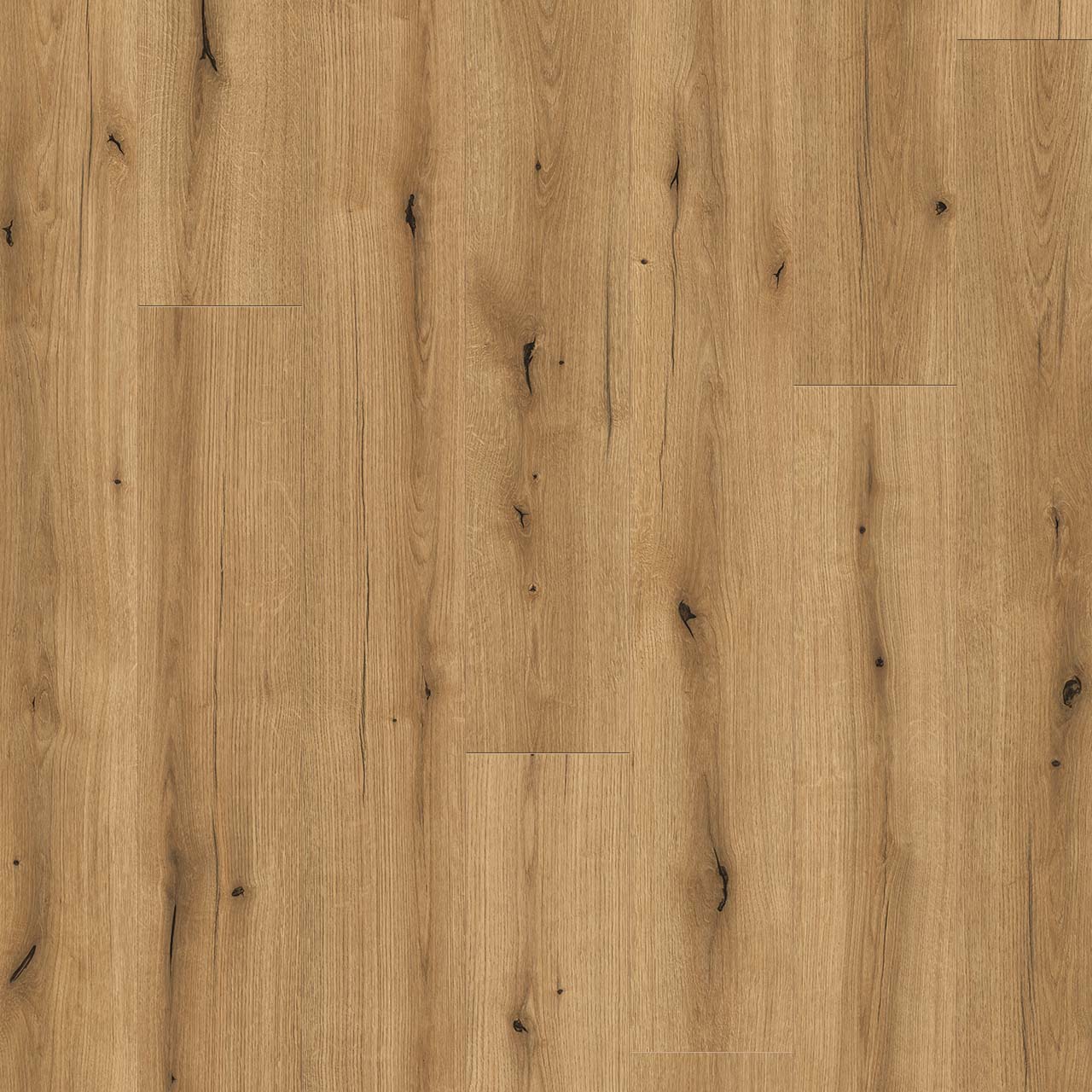 Wood Tech - Stanton Moore