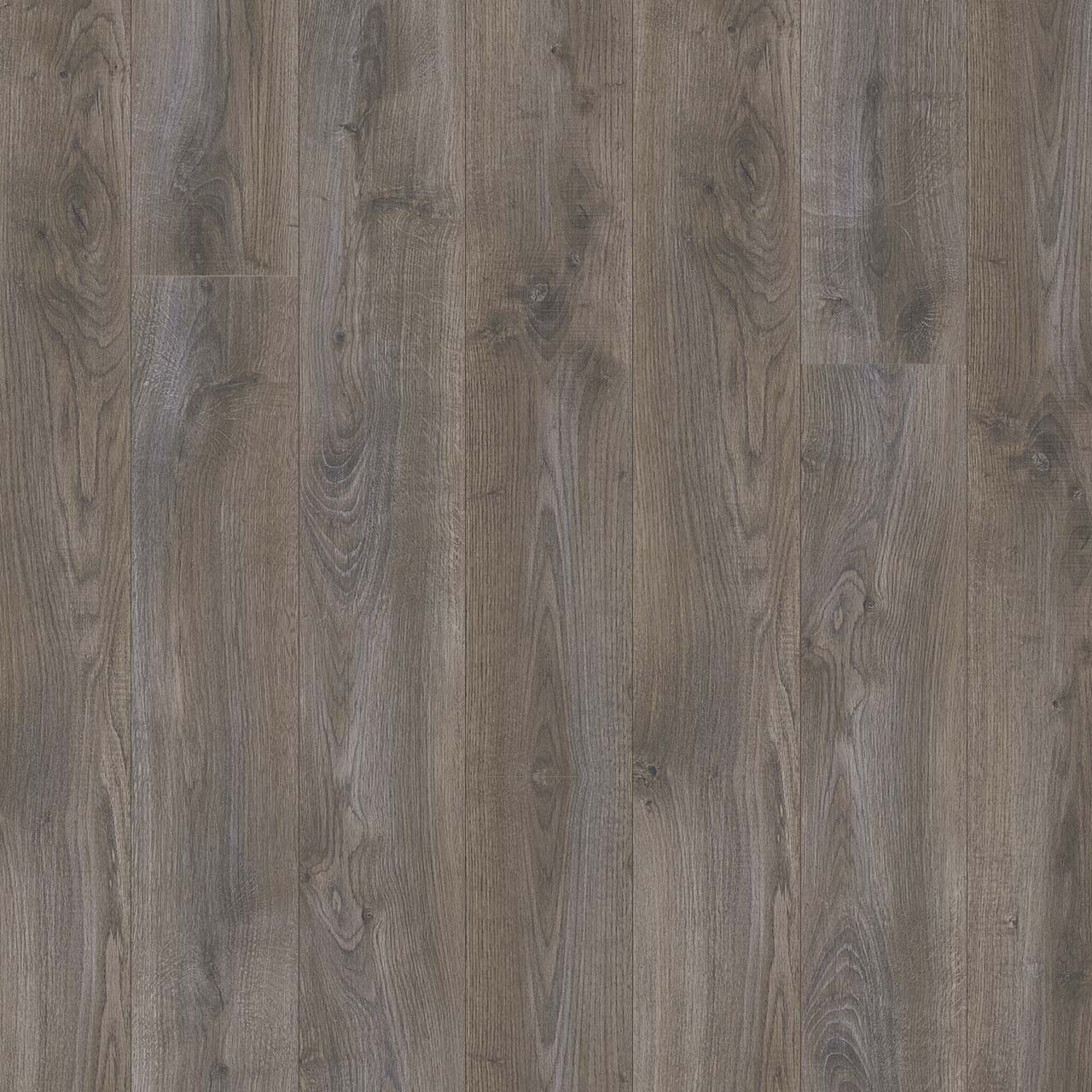 Wood Tech - Cloud Forest
