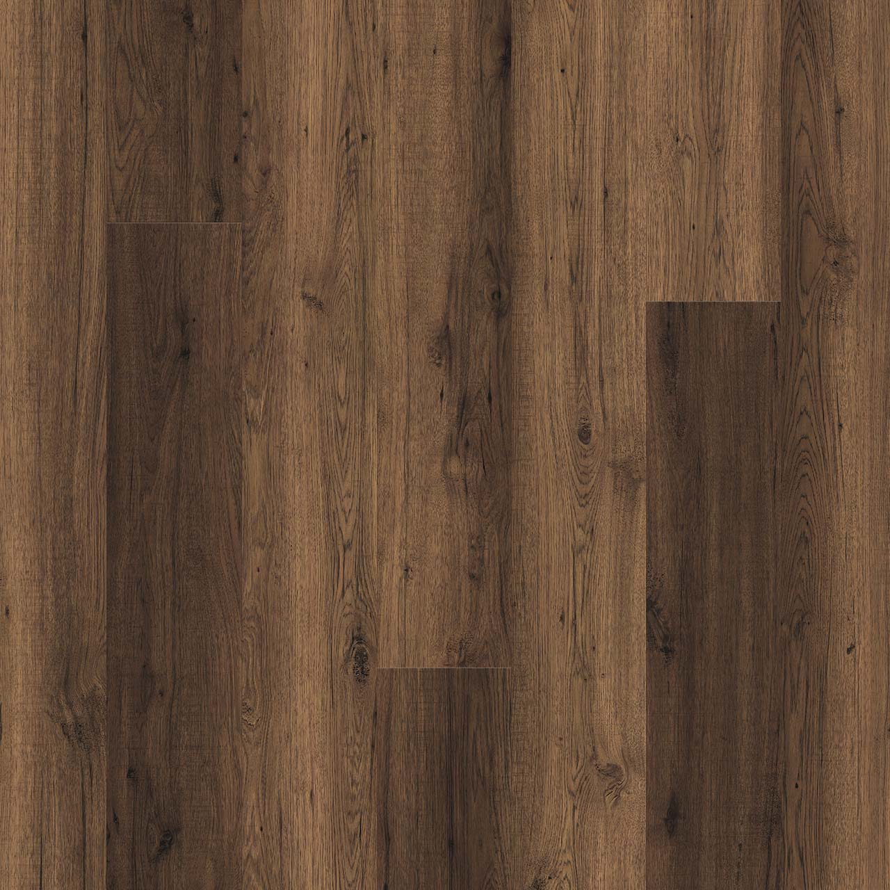 Wood Tech - Dark Hedges