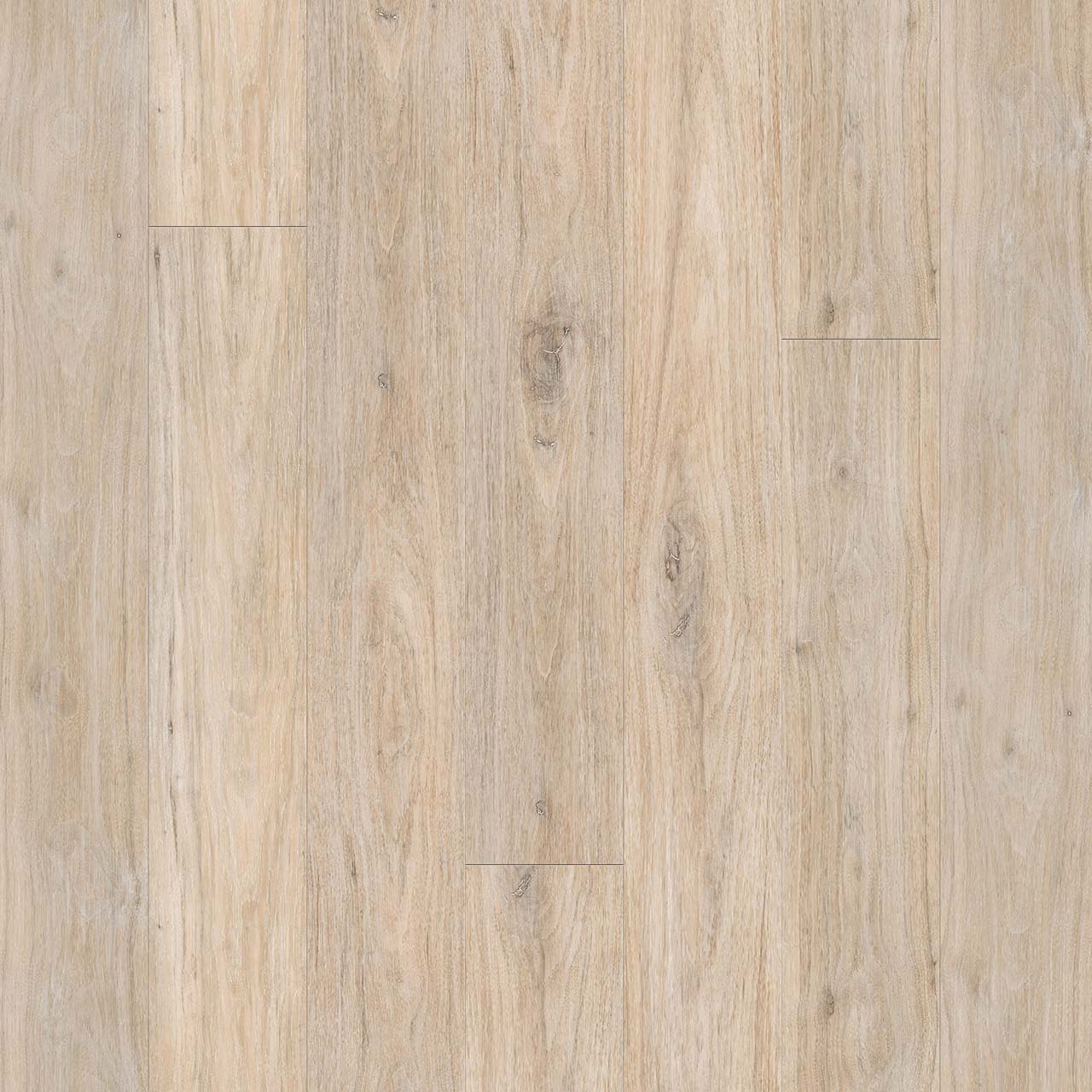 Wood Tech - Cathedral Grove