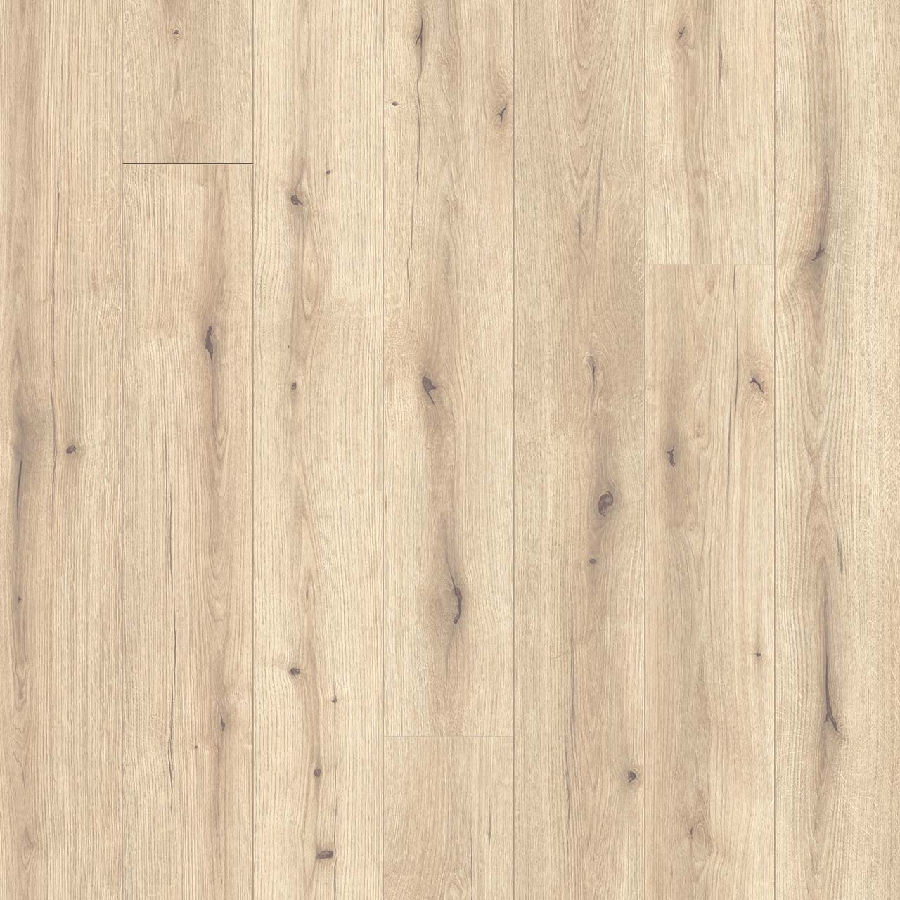 Wood Tech - New Guinea