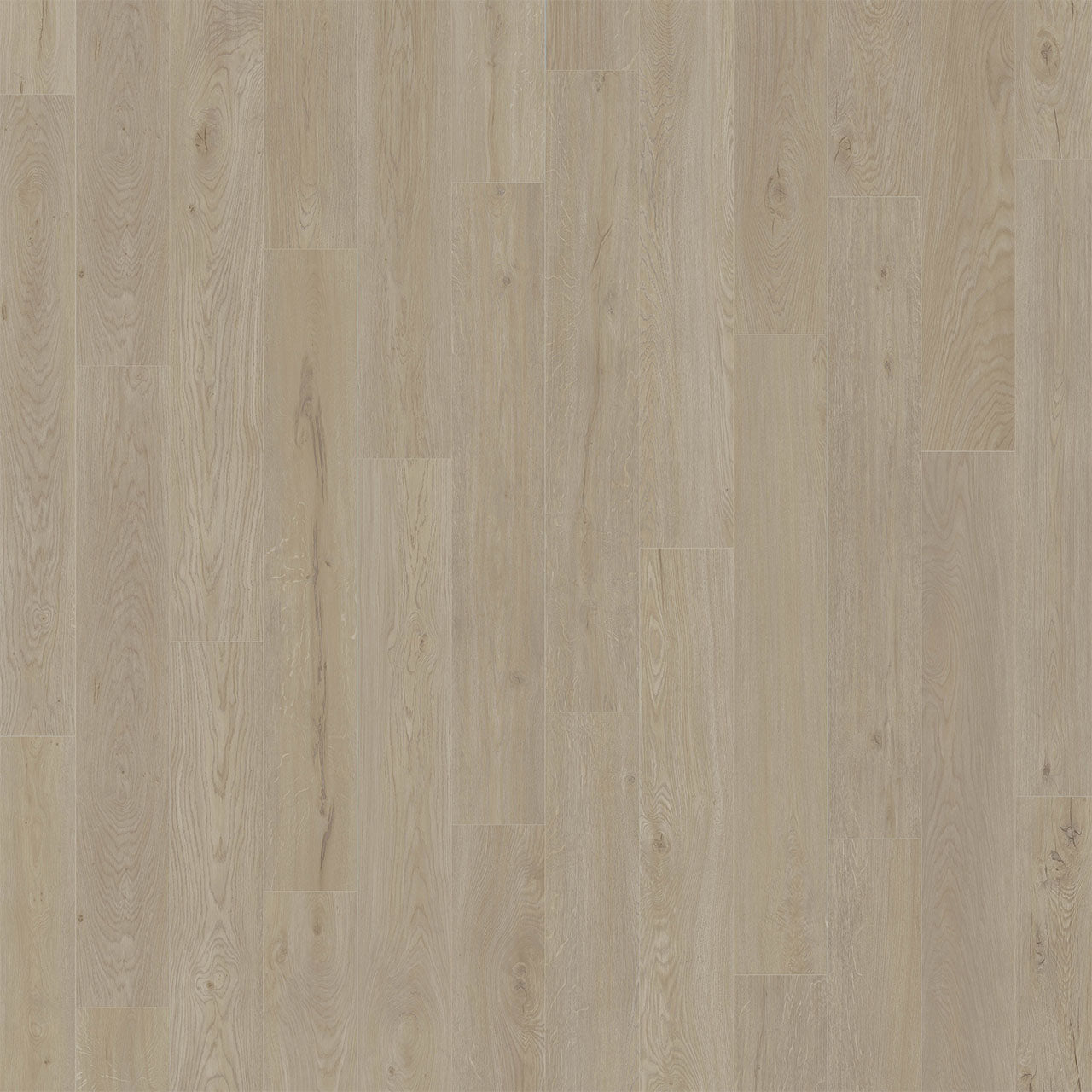 American Standard - Juniper
