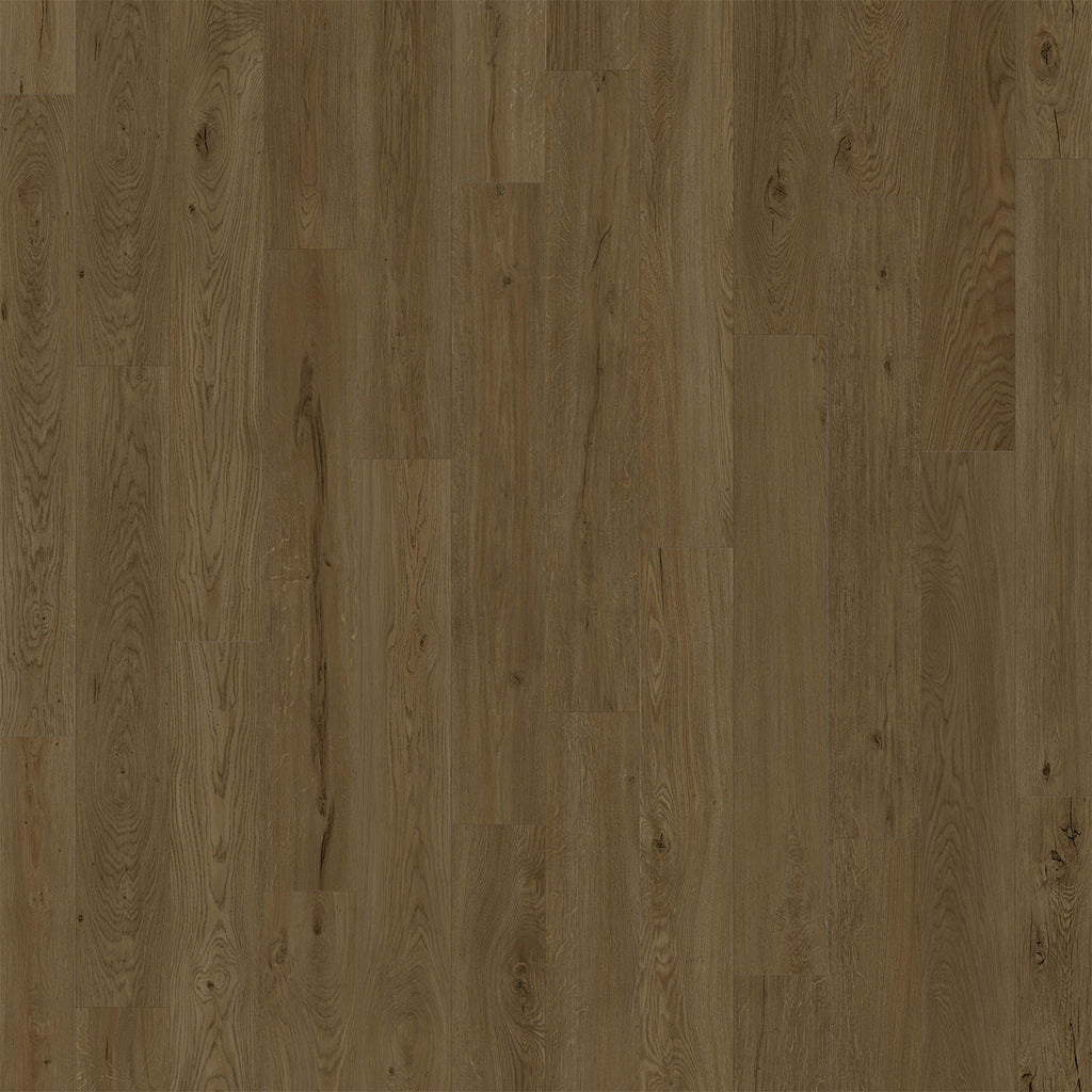 American Standard - Biscayne