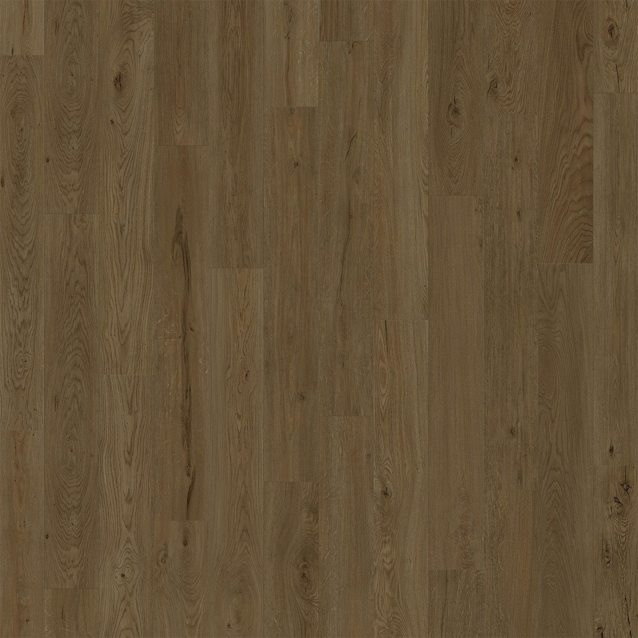 American Standard - Biscayne