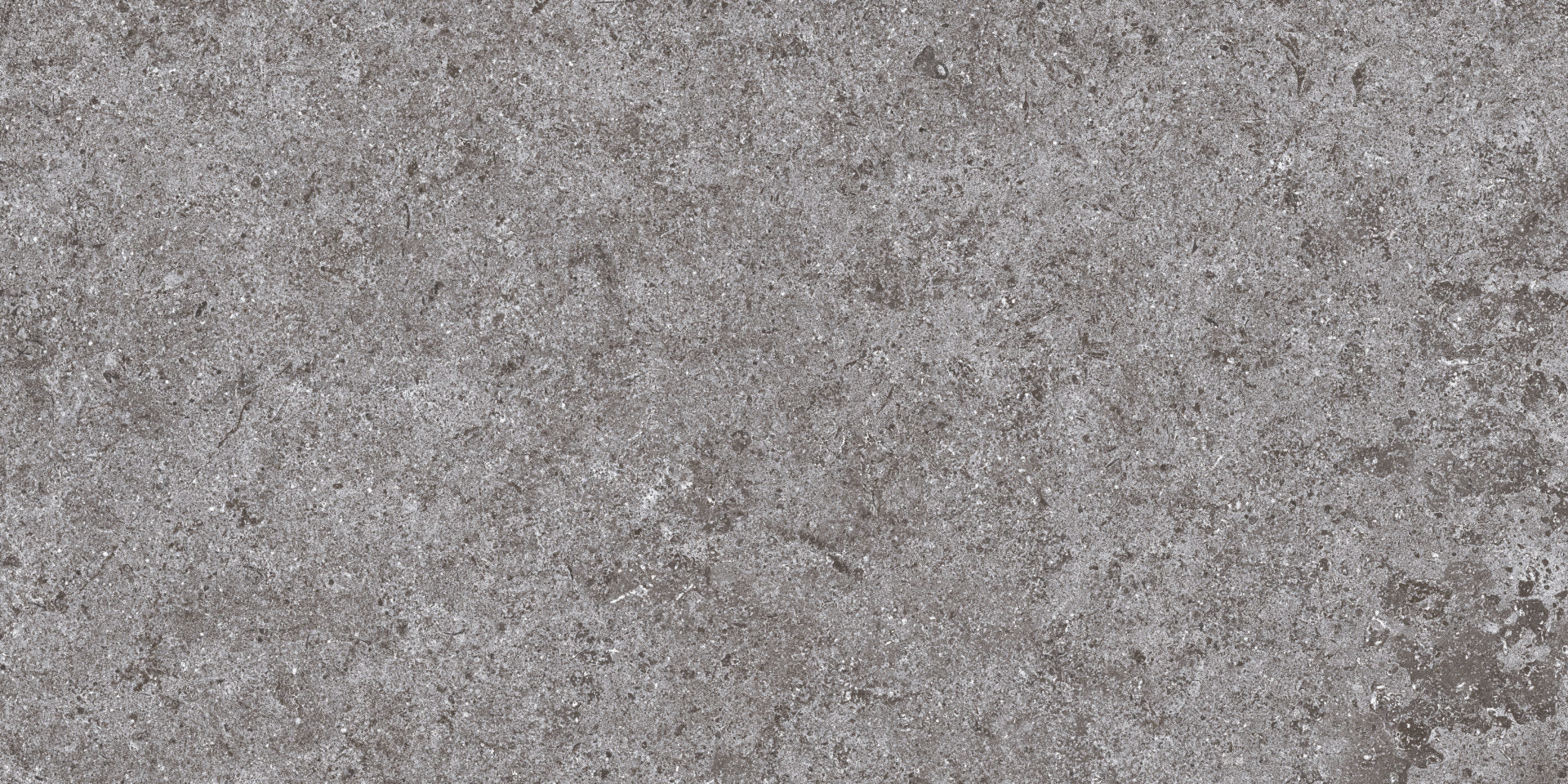 Roca Tile - Basalt Fd 12 x 24 Inch Tile
