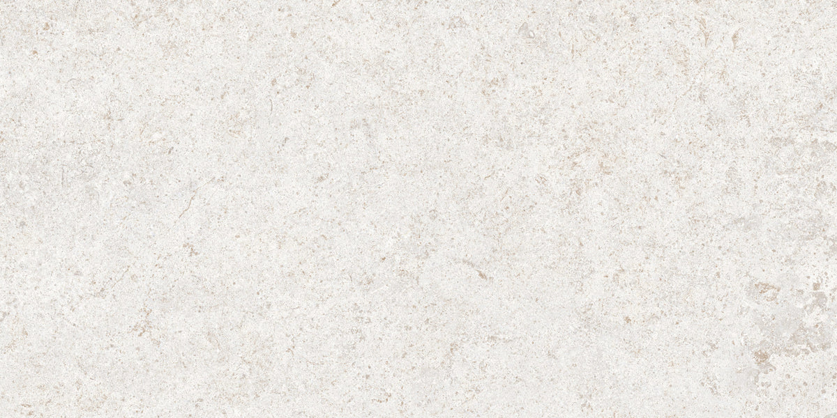 Roca Tile - Basalt Fd 12 x 24 Inch Tile