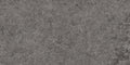 Roca Tile - Basalt Fd 12 x 24 Inch Tile