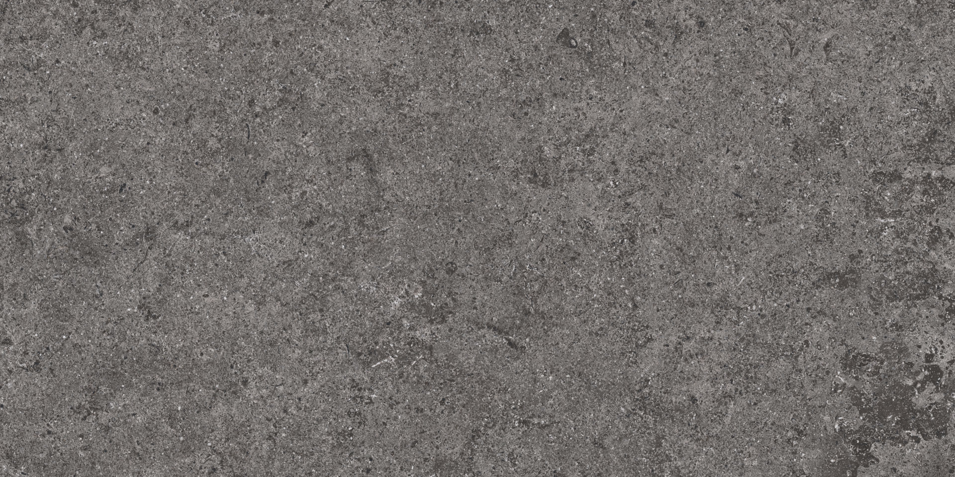 Roca Tile - Basalt Fd 12 x 24 Inch Tile