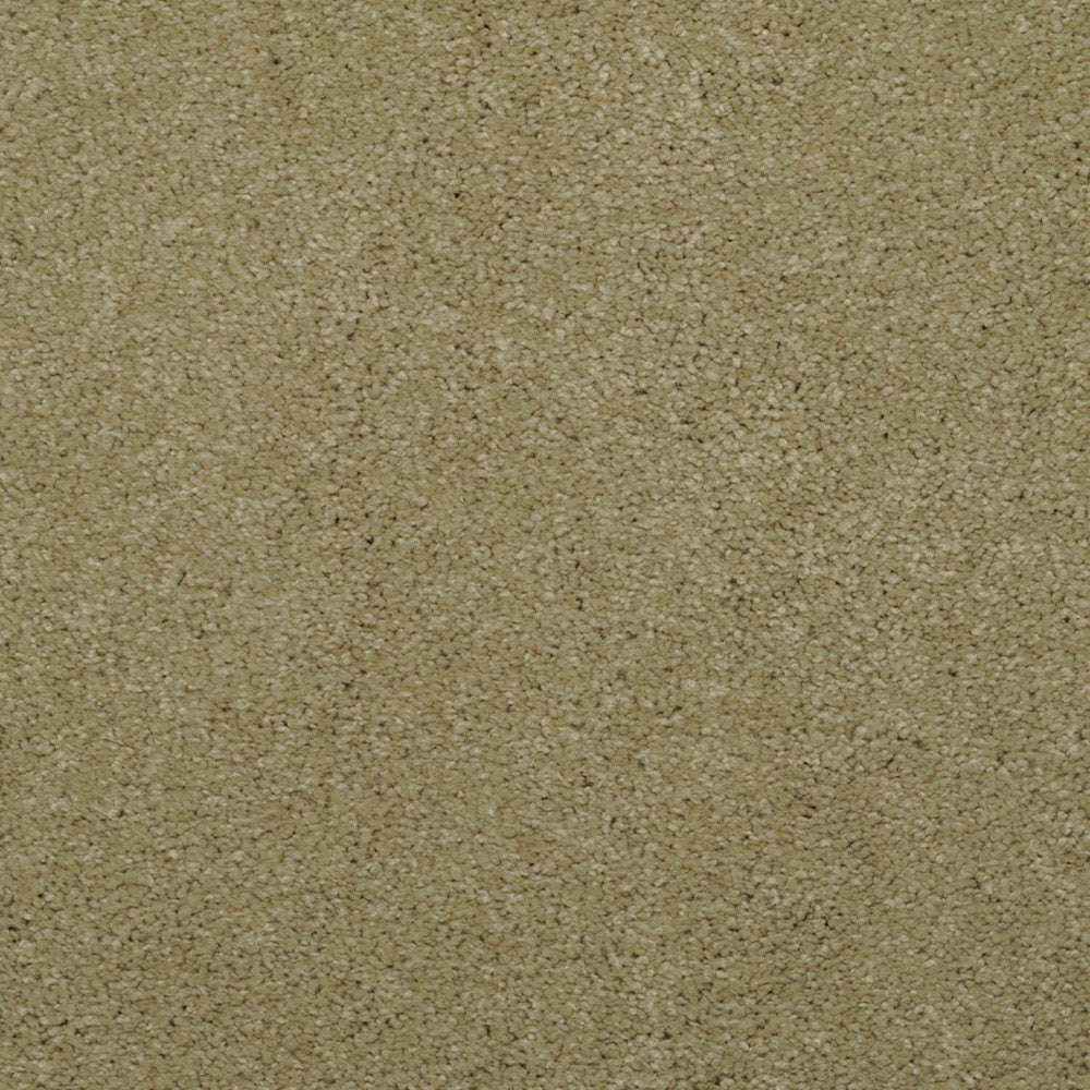 Allegria - Signature