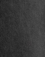 Metallic Finesse - Pearl Black #1