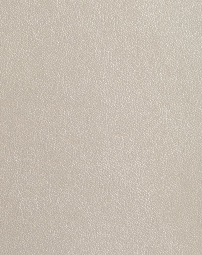 Metallic Finesse - Pearl Cream #1