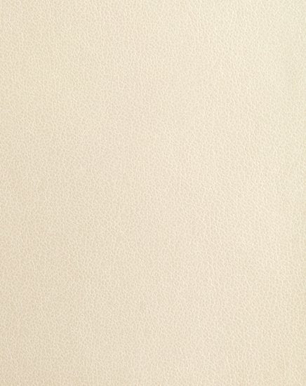 Metallic Finesse - Pearl White #1