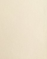Metallic Finesse - Pearl White #1
