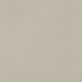 Fog 6x6.jpg
