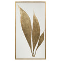 Modern Botany I | John-Richard - GBG-1295A